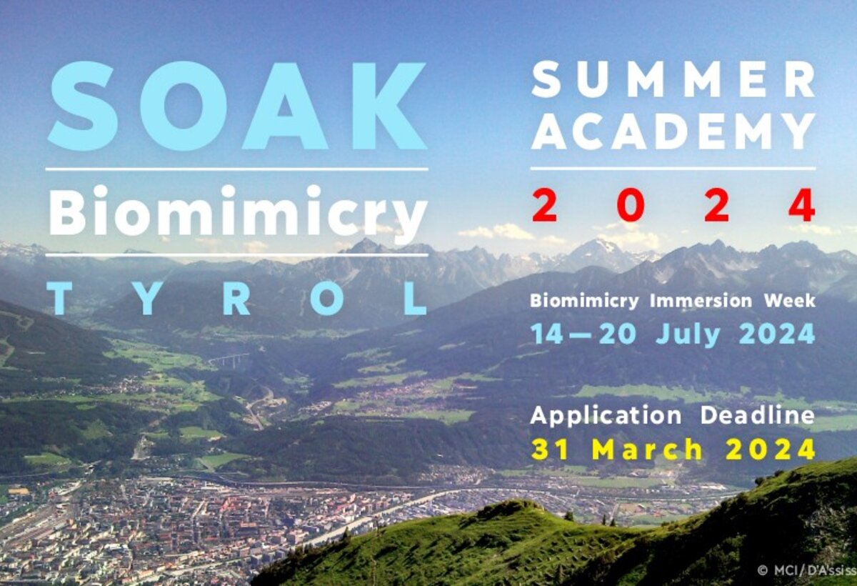 Sujet von der SOAK 2024 Biomimicry in Tirol | © MCI / D'Assissi