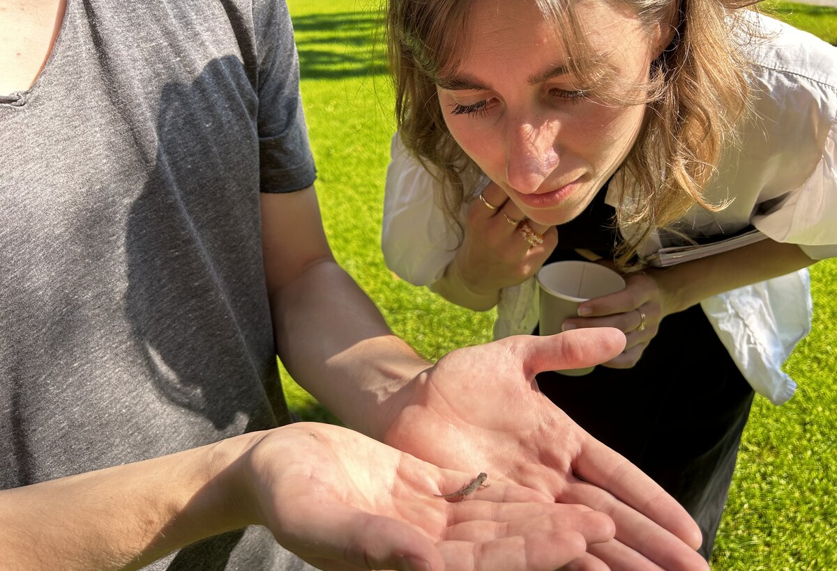 Studentn schaut sich ein Insekt auf einer Hand eines anderen Studenten an. | © FHV