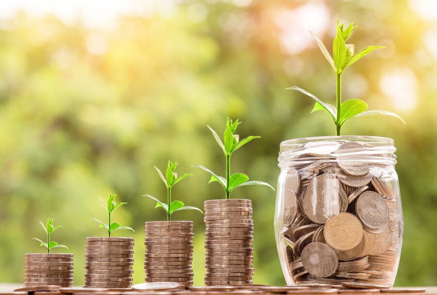 Geld wächst | © pixabay
