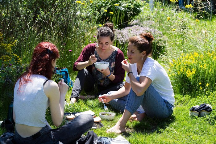 Menschen sitzen im Gras in einem Kreis und essen. | © FHV