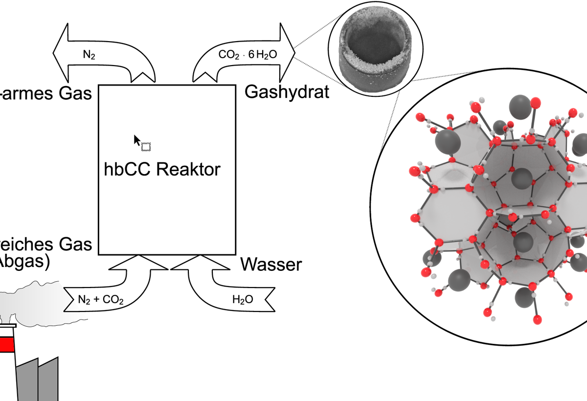 grafische Darstellung hbCC Reaktors | © fhv