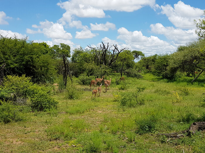 Xplore South Africa Wilderness | © Martin Hebertinger